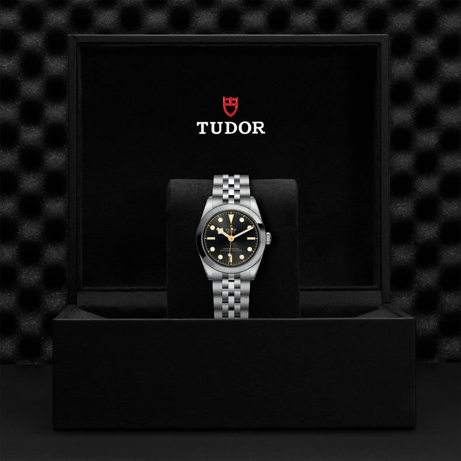 TUDOR Black Bay 31mm Case, Anthracite Dial, Steel Strap (M79600-0001)