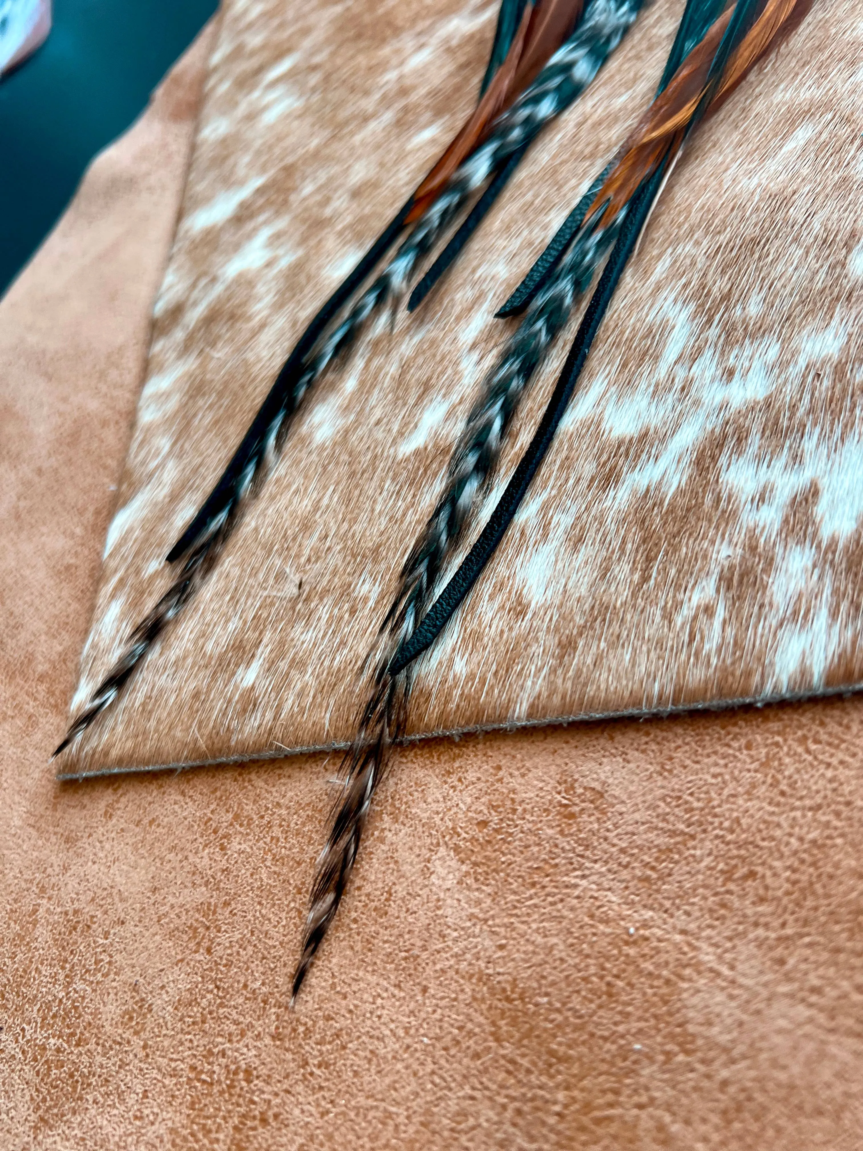 Willow Creek Feather Earrings